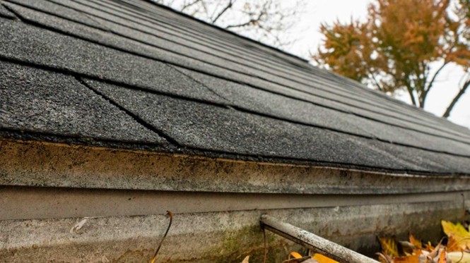 Roof Pressure Cleaning: The One Service That Can Save You Thousands in Repairs